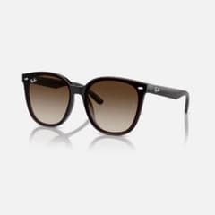 Ray-Ban サングラス RB4423Dのサムネイル
