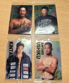 RIZINウエハースのサムネイル