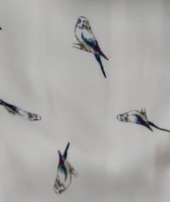 小鳥 セキセイインコ オウム プレミィコロミィ バード 鳥 オフィス デートのサムネイル