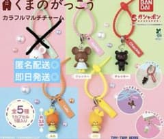 くまのがっこうガチャガチャ　カラフルマルチチャーム　セミコンプのサムネイル