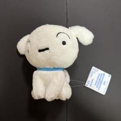 クレヨンしんちゃん ぱわあぷぷぬいぐるみ シロのお散歩いきたい度