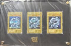 未展示品】青眼の白龍 復刻版シークレットレア 3枚 ディスプレイセット