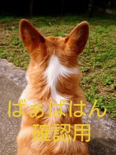 ばぁばはん  確認用のサムネイル