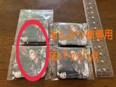 缶バッジ 家光のサムネイル