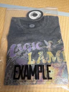 EXAMPLE WORK OF FICTION グラフィック Tシャツのサムネイル