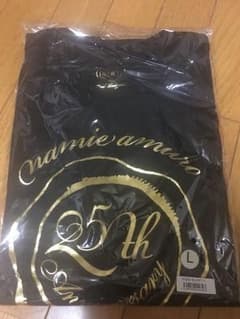 安室奈美恵 FinallyツアーTシャツのサムネイル