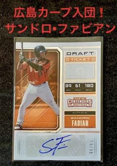 m41814252908_1.jpg?1732256434