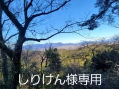 しりけん様専用(ポケモンカード)のサムネイル