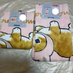 モフサンド　ハンドタオル　フェイスタオル　2枚組　mofusand　ぢゅの