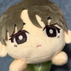 PetiTEEN 寝そべりぬいぐるみ〜SECTOR 17〜Vol.4 バーノン - メルカリ