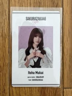 櫻坂46 カフェ 向井純葉 IDカードのサムネイル