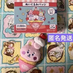 BT21 baby 봉제인형 배지 파미마 cooky jungkook