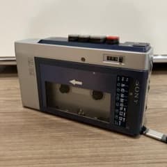 m41833425845_1.jpg?1719131543