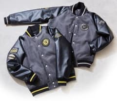 阪神タイガース ダイヤモンドプラス会員特典 スタジアムジャンパー