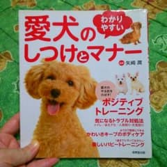 愛犬のわかりやすい　しつけとマナーのサムネイル