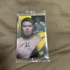 RIZINウエハース25 No.7 上田幹雄のサムネイル