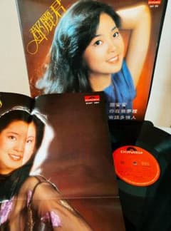 大判ポスター付き!テレサ・テン　難忘的一天　アナログ!香港盤! 大判ポスター付き!テレサ・テン 難忘的一天 アナログ!香港盤! - メルカリ