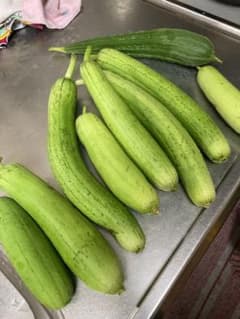 沖縄料理に^ ^ ヘチマ8本1.7キロくらいと島唐辛子100グラムくらいのサムネイル