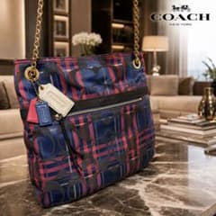 ✨【希少】✨COACH ポピー シグネチャー 3WAY チェーンバッグ Y2K