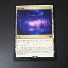 MTG 魂の洞窟/Cavern of Souls 日本語版 [LCI] - メルカリ