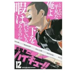 ハイキュー!! 12のサムネイル