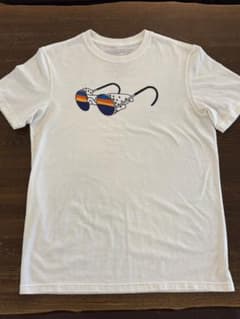 Patagonia パタゴニア Tシャツ レア　Sのサムネイル