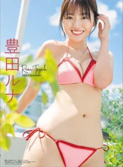 安い豊田ルナ ポスターの通販商品を比較 | ショッピング情報のオークファン