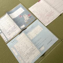 PAUL & JOE JILLSTUART 婚姻届 ３枚セット　おまけ付きのサムネイル