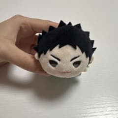 ハイキュー!! 青葉城西 岩泉一のサムネイル