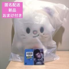 スキズ ヒョンジン ジニレット ぬいぐるみ リュック おまけ スキズ ヒョンジン ジニレット ぬいぐるみ リュック おまけ - メルカリ