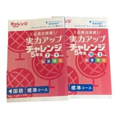 チャレンジ5年生　問題集のサムネイル
