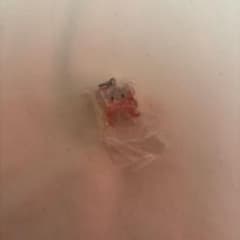 mikko めじるしアクセサリー　キャミー