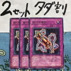 sa様 リクエスト 2点 まとめ商品 - メルカリ