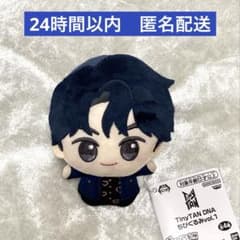 TinyTAN DNA Chibiguru Jin Jin BTS