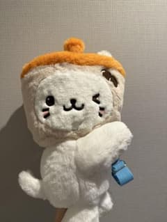 NCT WISH ASIA TOUR LOG キャラクターバッグ バブルニャン - メルカリ