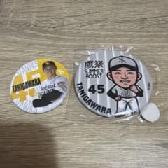 福岡ソフトバンクホークス 谷川原健太 缶バッジ 2種セット - メルカリ