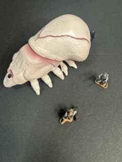 m41894583532_1.jpg?1725089788