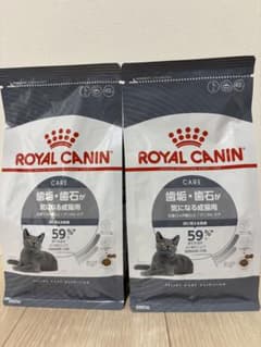 dn2) ロイヤルカナン 猫 デンタルケア歯石歯垢 400g×2つ - メルカリ