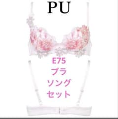 ワコール サルートBTJ451(E75) PU上下セット - メルカリ