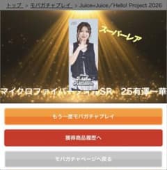 マイクロファイバータオル SR 25 有澤一華 - メルカリ