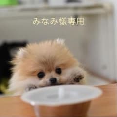 みなみ様専用‼︎のサムネイル
