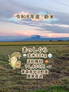 送料込み 令和８年産 新米 玄米３０ｋｇ まっしぐら 青森県中泊町産 農家直送のサムネイル