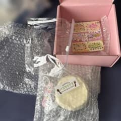 【新品・匿名配送】gugu studio 昭子煎煎 バニラアイス スクイーズのサムネイル