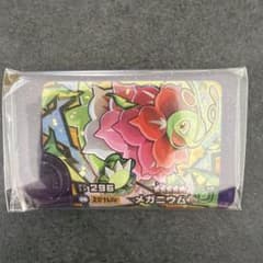 포켓몬 프렌다 메가늄 슈퍼 태그