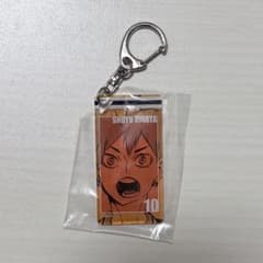 ハイキュー！！ 展　日向翔陽 アクリルキーホルダー　アクリルタグのサムネイル