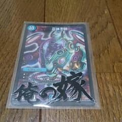 正体不明のサムネイル