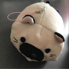 ごろねこサミットのサムネイル