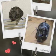 K Keiko様専用！！のサムネイル