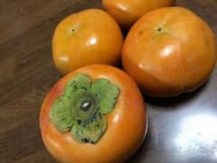 販売スタート！！今年も旬がやってくる(^^)糸貫の富有柿！のサムネイル