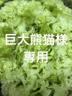 巨大熊猫様専用トルコキキョウ トルコギキョウ生花 切花 花束 - メルカリ